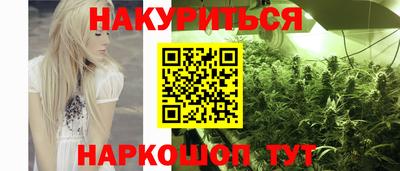 шишки Гудермес